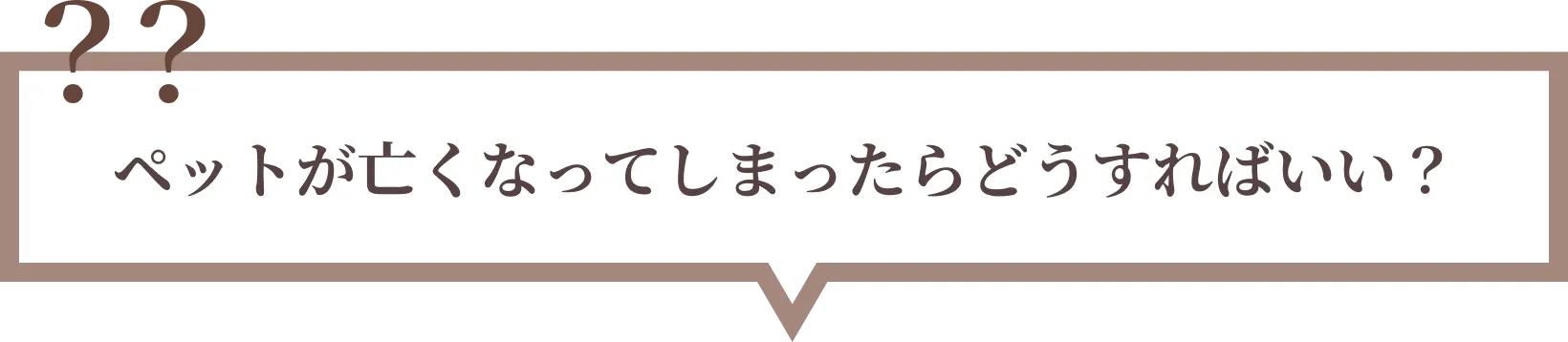 ペットが亡くなってしまったらどうすればいい？
