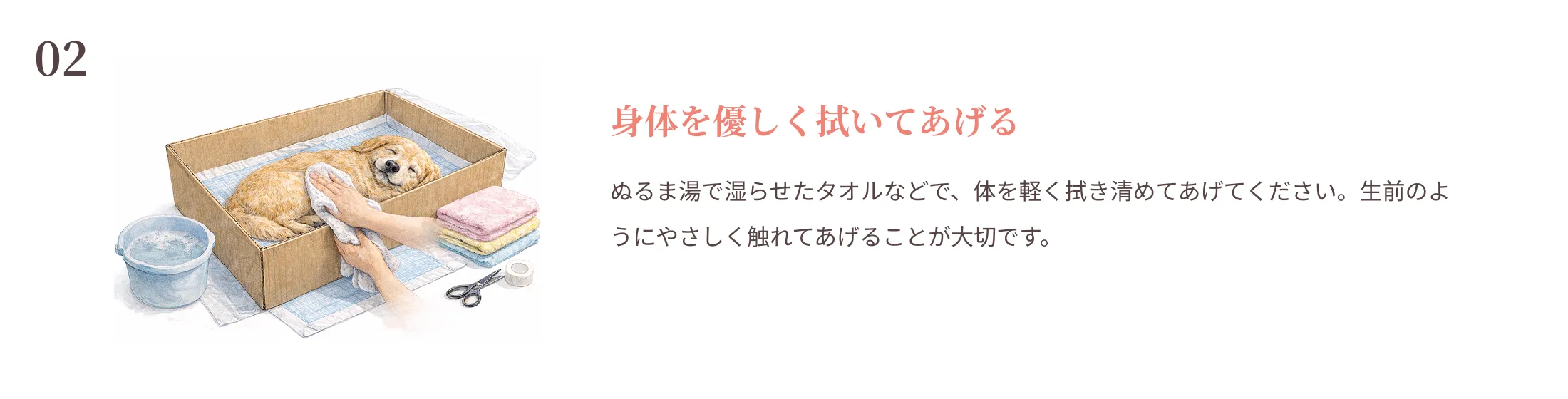 身体を優しく拭いてあげる
