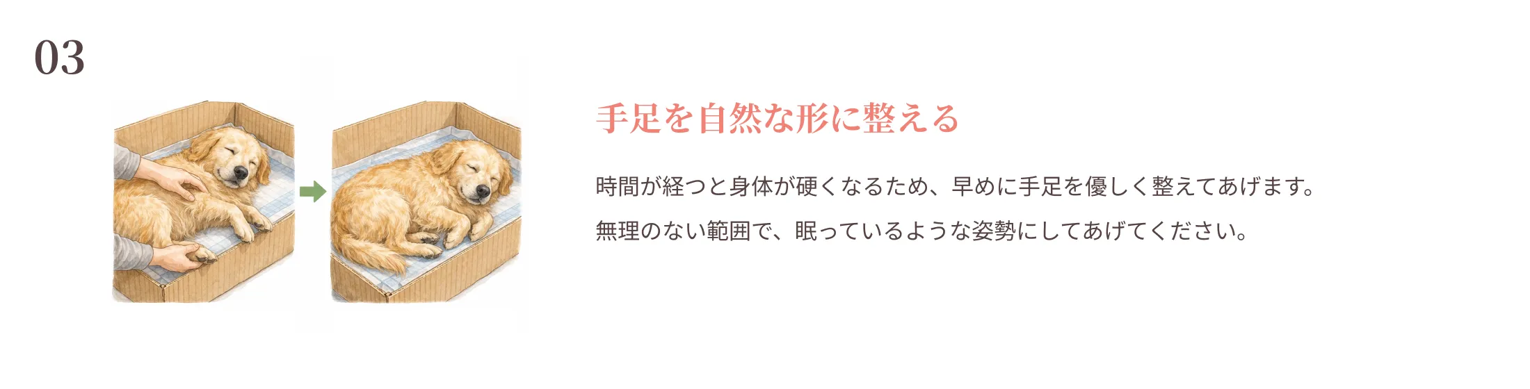 手足を自然な形に整える