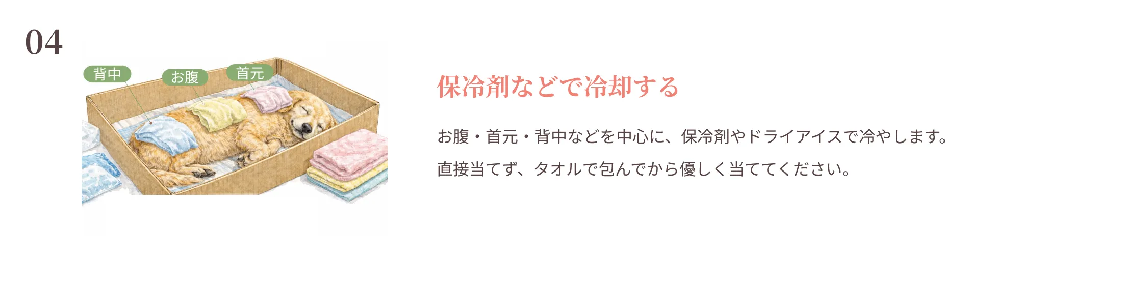 保冷剤などで冷却する