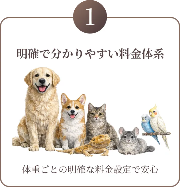 明確で分かりやすい料金体系