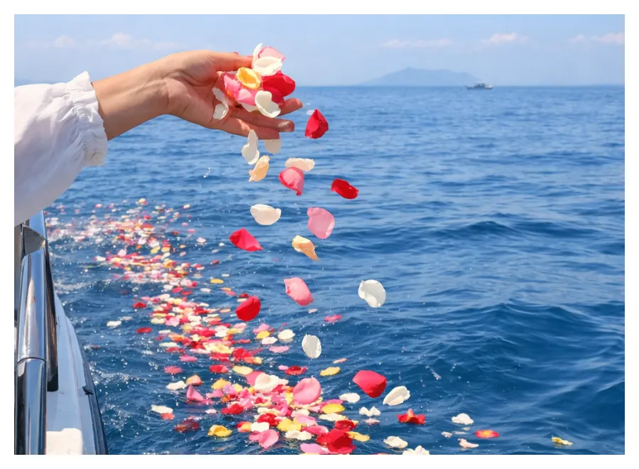 温もり葬儀の海洋散骨